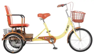 Xe đạp ba bánh chở hàng