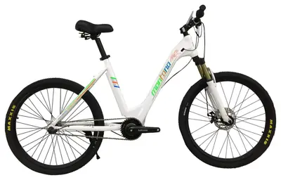Xe đạp trợ lực điện