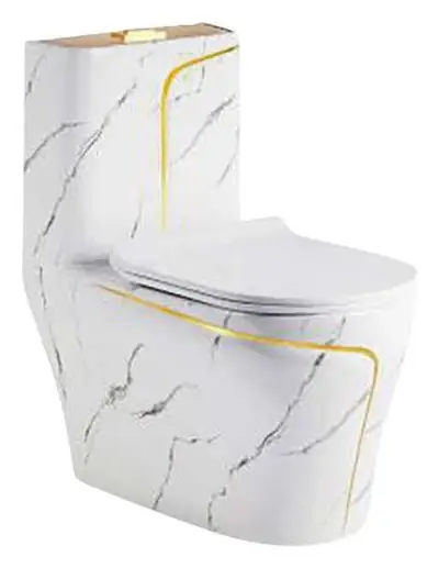 Bồn cầu một khối xả xoáy siphon, 69 × 39 × 74 cm