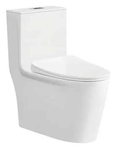 Bồn cầu một khối xả xoáy siphon, 70 × 39 × 76 cm