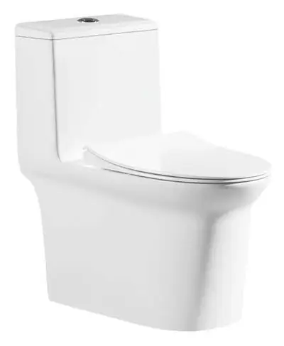 Bồn cầu một khối xả xoáy siphon, 70 × 39 × 75 cm