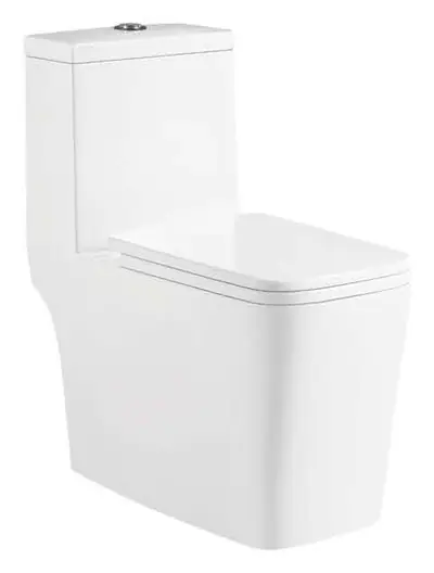 Bồn cầu một khối xả xoáy siphon, 69 × 37 × 80 cm