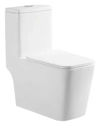 Bồn cầu một khối xả thẳng, 69 × 37.5 × 78.5 cm