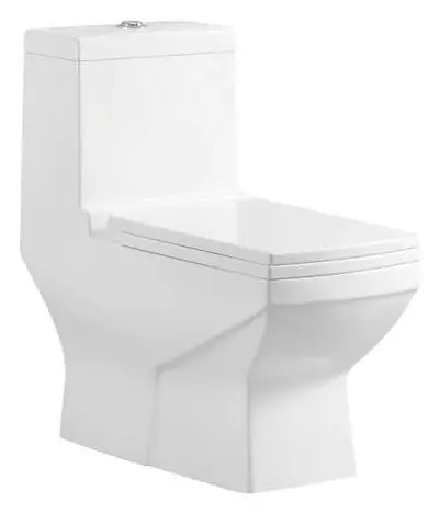 Bồn cầu một khối xả thẳng, 73 × 38 × 77 cm