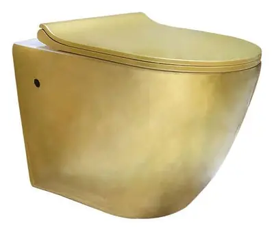 Bồn cầu treo tường xả thẳng, 49 × 36 × 35.5 cm