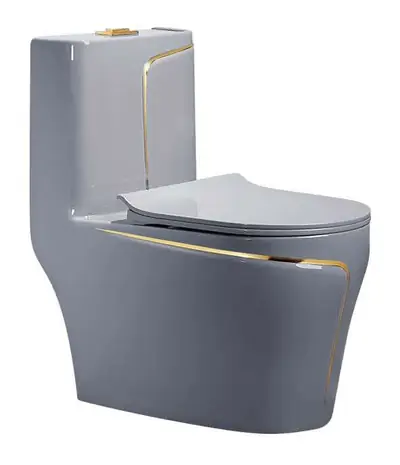 Bộ bồn cầu một khối và chậu rửa chân đứng liền khối men xám chỉ vàng – ảnh 2