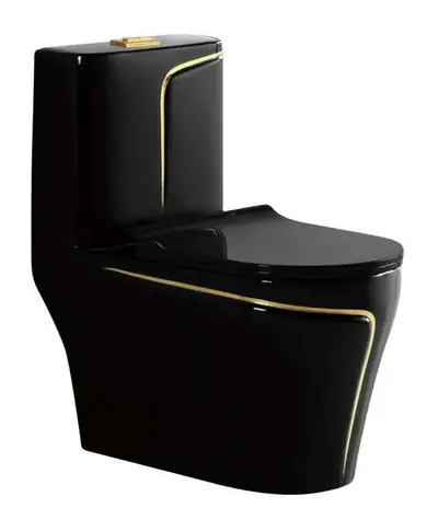 Bộ bồn cầu một khối và chậu rửa chân đứng liền khối men đen chỉ vàng – ảnh 2