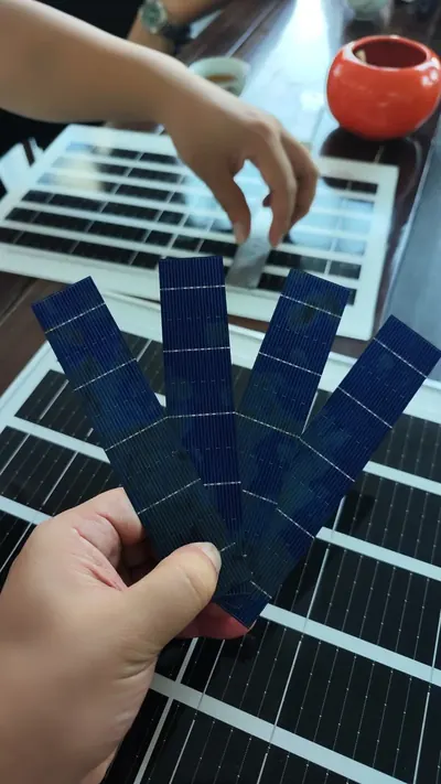 Kiểm tra cell tấm pin
